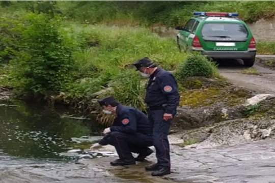 Scarichi nel torrente, sequestro in un'azienda