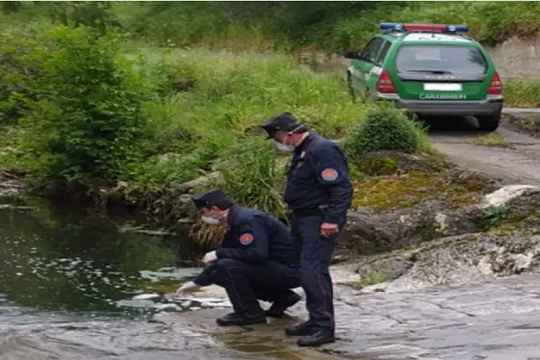 Campagna “Fiume sicuro” dei Carabinieri Forestali, 35 denunce in Campania