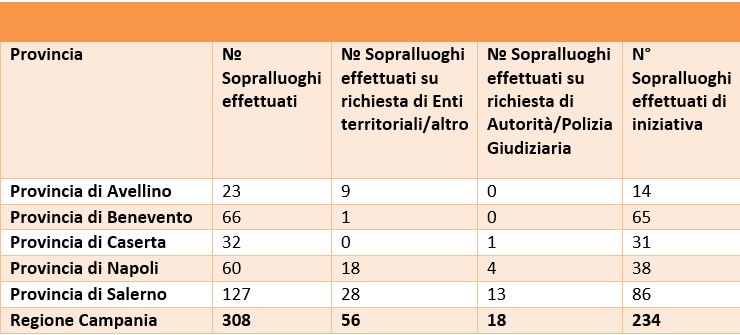 Controlli effettuati per tipologia di richiedente. 2023