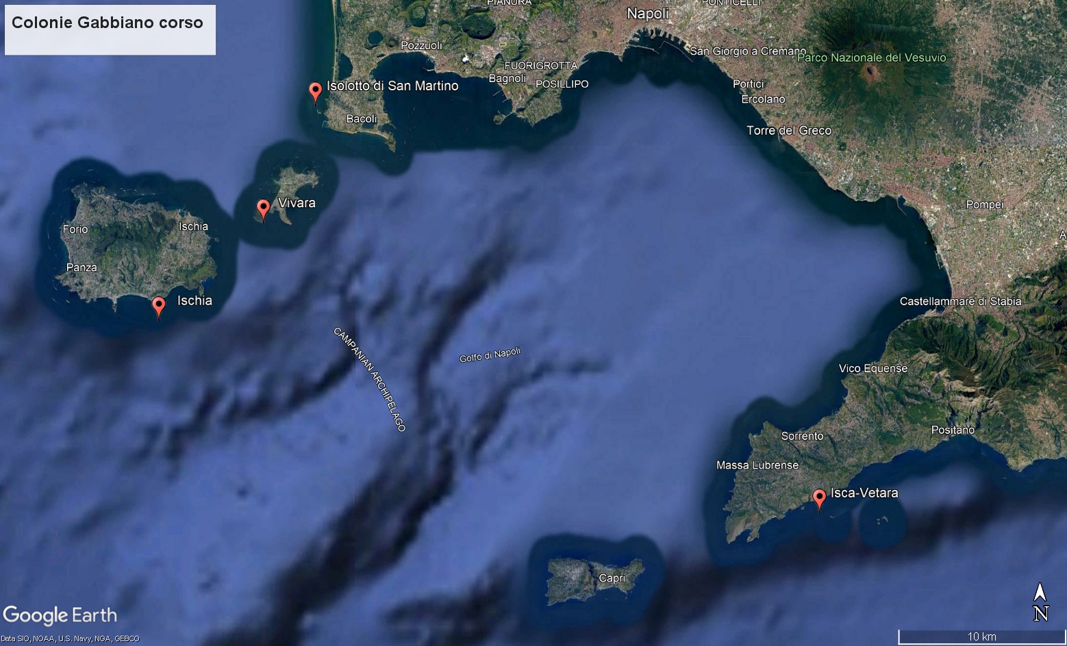 Ubicazione dei principali siti coloniali utilizzati dal Gabbiano corso in provincia di Napoli negli anni 2018-2024