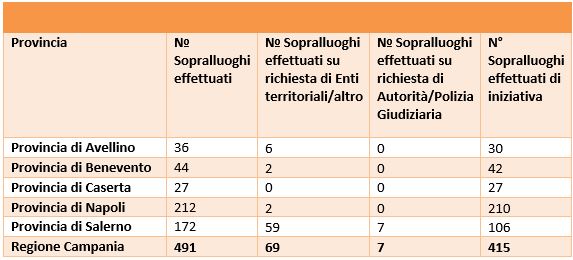 Sopralluoghi con e senza misura effettuati per tipologia di richiedente -2024