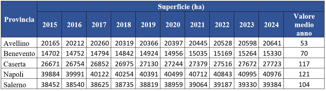Superficie di suolo consumato in ettari (ha) a scala provinciale